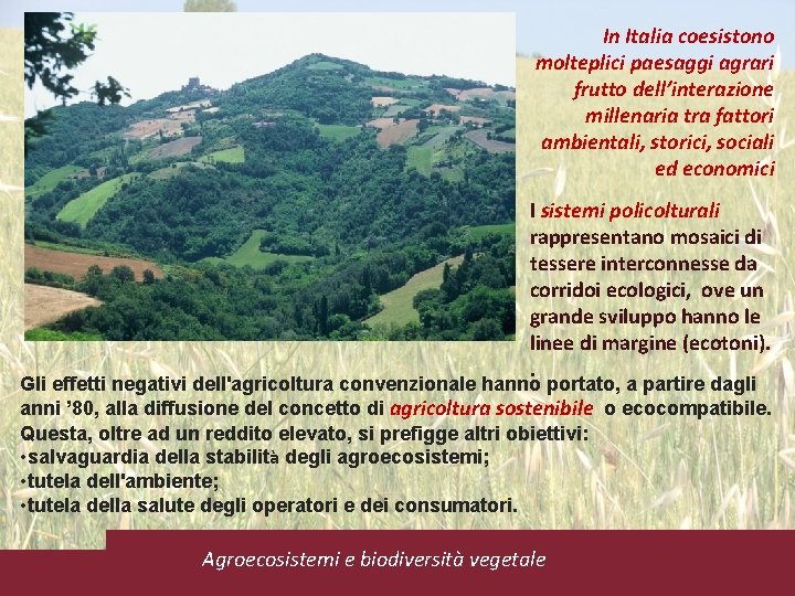 In Italia coesistono molteplici paesaggi agrari frutto dell’interazione millenaria tra fattori ambientali, storici, sociali