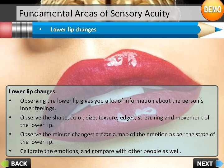 Fundamental Areas of Sensory Acuity • Lower lip changes: • • Observing the lower