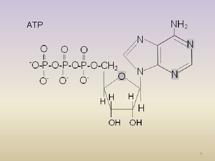 ATP 4 