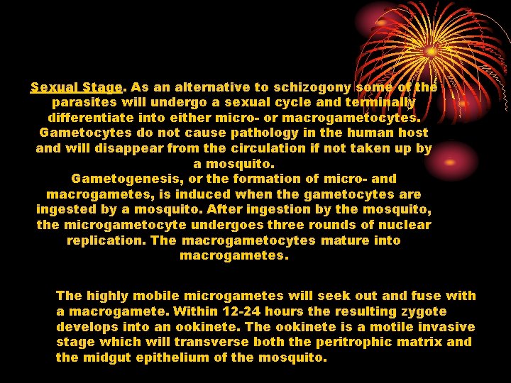 Sexual Stage. As an alternative to schizogony some of the parasites will undergo a