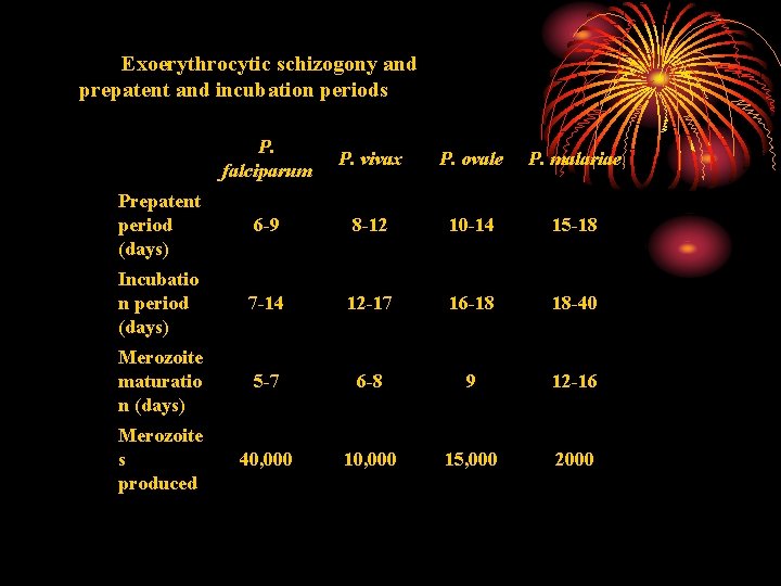 Exoerythrocytic schizogony and prepatent and incubation periods P. falciparum P. vivax P. ovale P.
