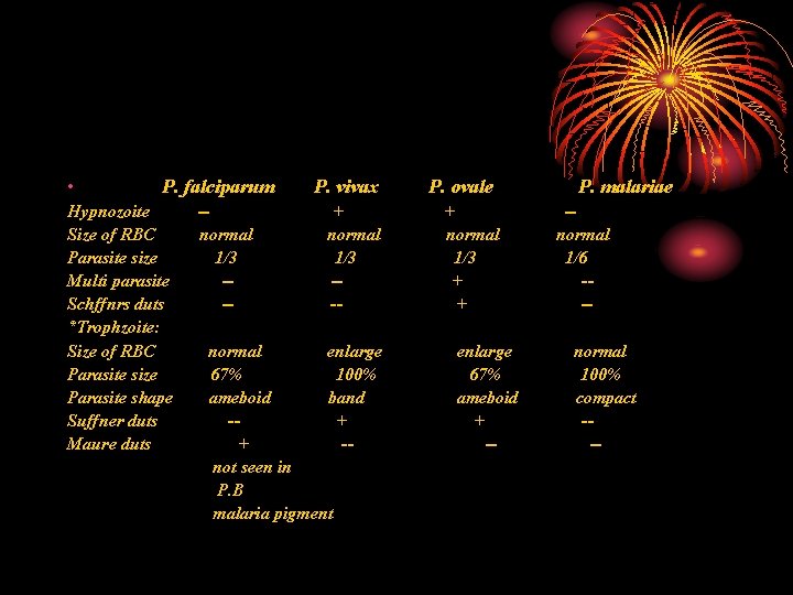  • P. falciparum Hypnozoite Size of RBC Parasite size Multi parasite Schffnrs duts