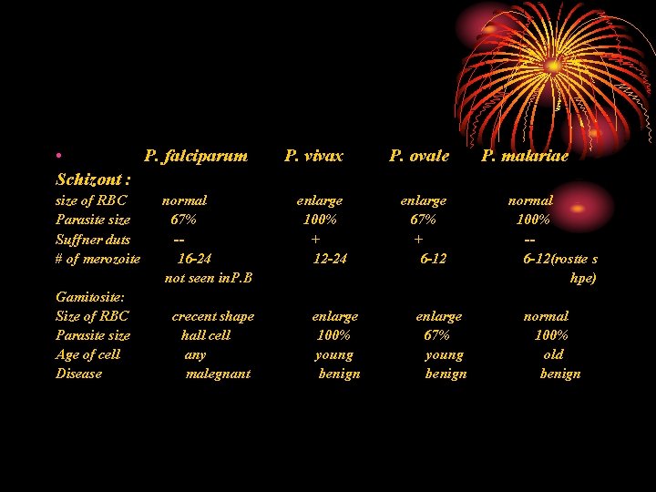  • P. falciparum Schizont : size of RBC Parasite size Suffner duts #
