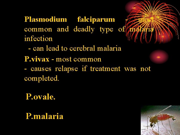 Plasmodium falciparum - most common and deadly type of malaria infection - can lead