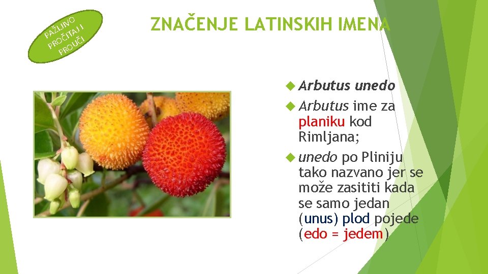 O V I ŽLJ TAJ I A P ČI I O Č PR ROU