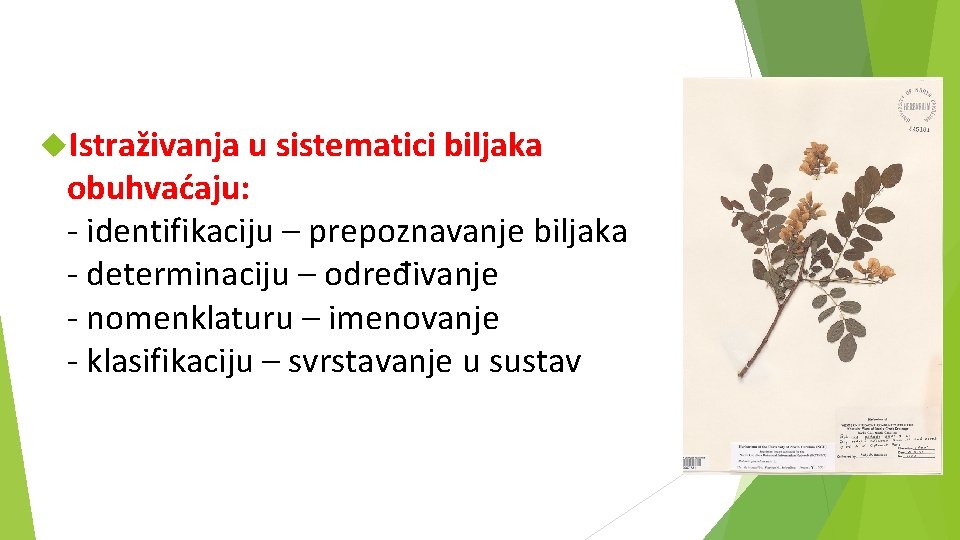  Istraživanja u sistematici biljaka obuhvaćaju: - identifikaciju – prepoznavanje biljaka - determinaciju –