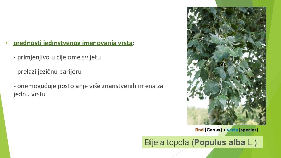  • prednosti jedinstvenog imenovanja vrsta: - primjenjivo u cijelome svijetu - prelazi jezičnu