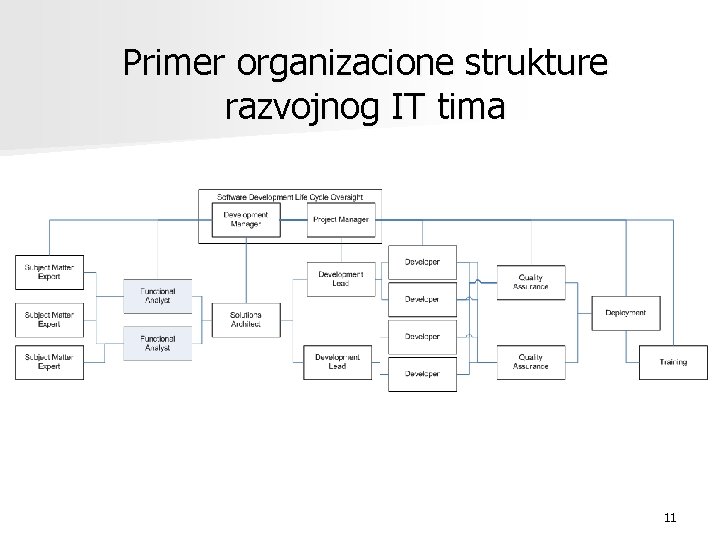 Primer organizacione strukture razvojnog IT tima 11 