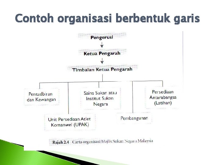 Contoh organisasi berbentuk garis 