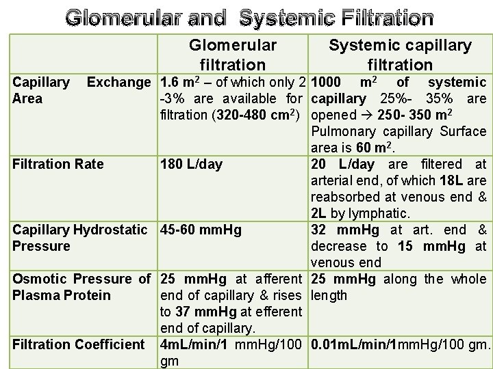 Glomerular and Systemic Filtration Glomerular filtration Capillary Area Systemic capillary filtration Exchange 1. 6