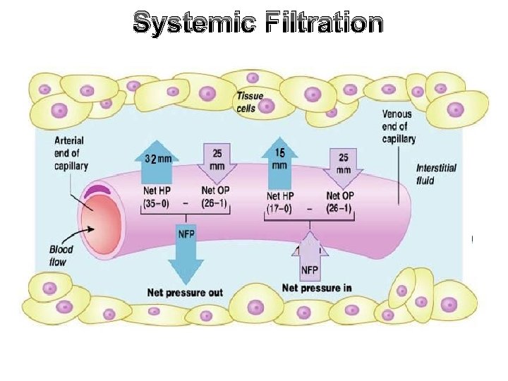 Systemic Filtration 