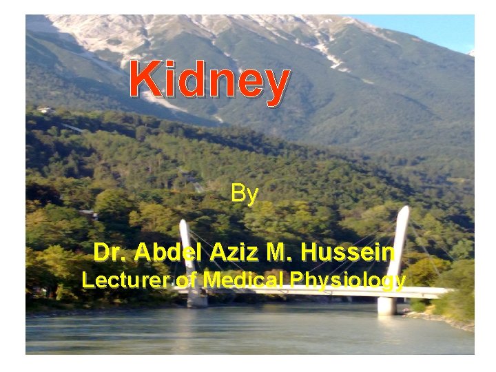 Kidney By Dr. Abdel Aziz M. Hussein Lecturer of Medical Physiology 