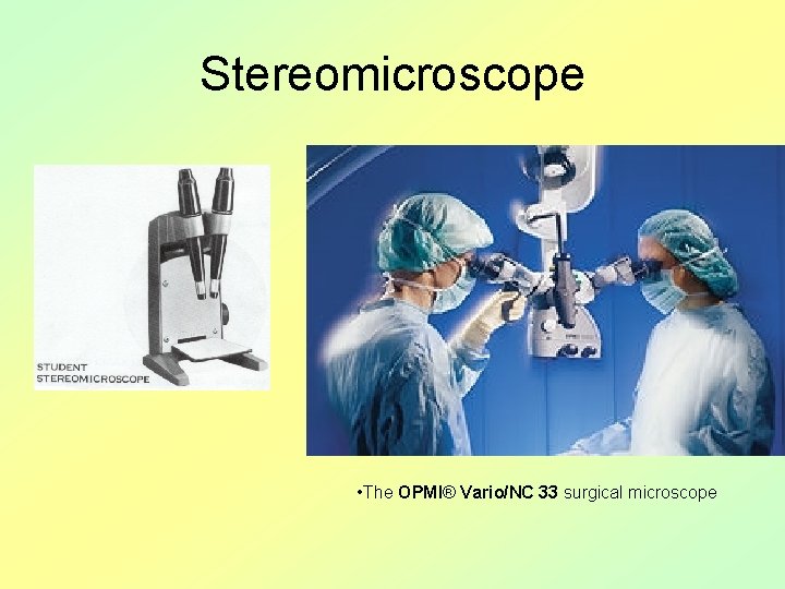 Stereomicroscope • The OPMI® Vario/NC 33 surgical microscope 