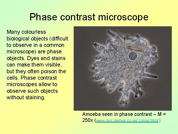 Phase contrast microscope Many colourless biological objects (difficult to observe in a common microscope)