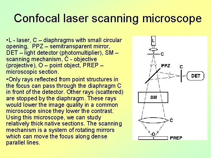 Confocal laser scanning microscope • L - laser, C – diaphragms with small circular