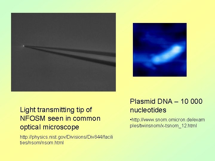 Light transmitting tip of NFOSM seen in common optical microscope http: //physics. nist. gov/Divisions/Div