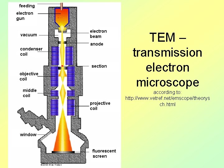 TEM – transmission electron microscope according to: http: //www. vetref. net/emscope/theorys ch. html 