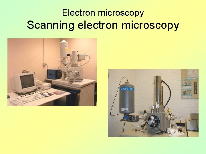 Electron microscopy Scanning electron microscopy 