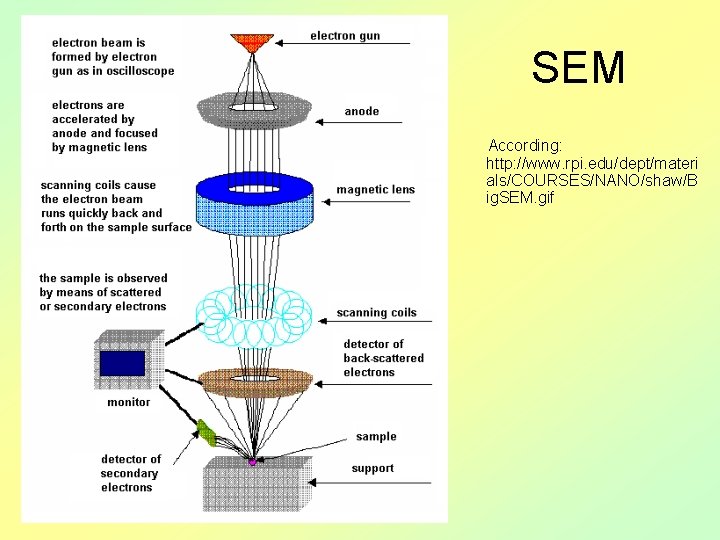 SEM According: http: //www. rpi. edu/dept/materi als/COURSES/NANO/shaw/B ig. SEM. gif 