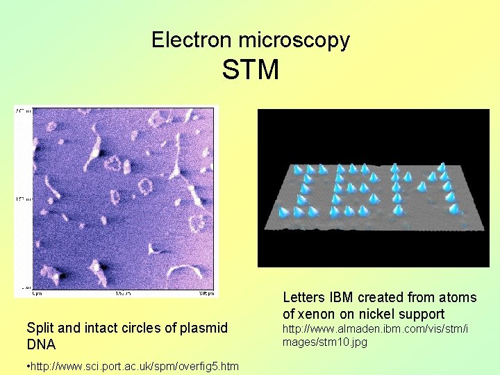 Electron microscopy STM Split and intact circles of plasmid DNA • http: //www. sci.