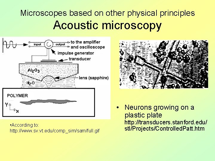 Microscopes based on other physical principles Acoustic microscopy • Neurons growing on a plastic