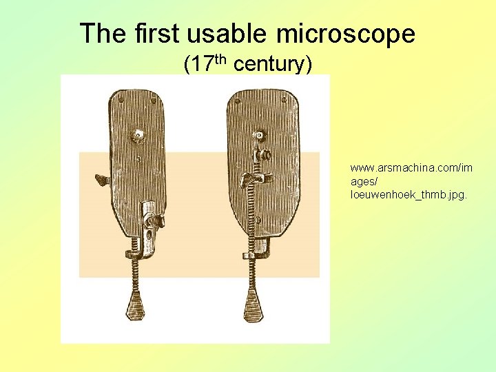 The first usable microscope (17 th century) www. arsmachina. com/im ages/ loeuwenhoek_thmb. jpg. 