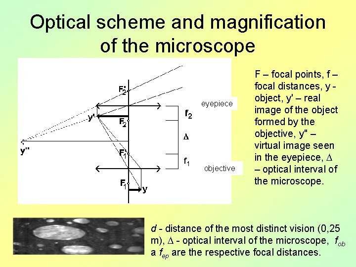 Optical scheme and magnification of the microscope eyepiece objective F – focal points, f