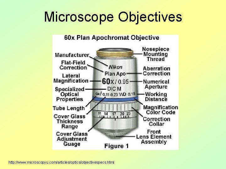 Microscope Objectives http: //www. microscopyu. com/articles/optics/objectivespecs. html 