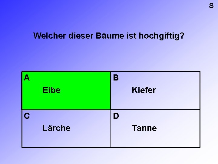 S Welcher dieser Bäume ist hochgiftig? A B Eibe C Kiefer D Lärche Tanne S Welcher dieser Bäume ist hochgiftig? A B Eibe C Kiefer D Lärche Tanne