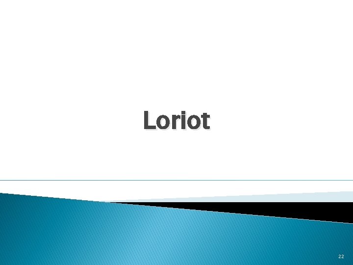 Loriot 22 