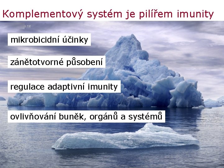 Komplementový systém je pilířem imunity mikrobicidní účinky zánětotvorné působení regulace adaptivní imunity ovlivňování buněk,