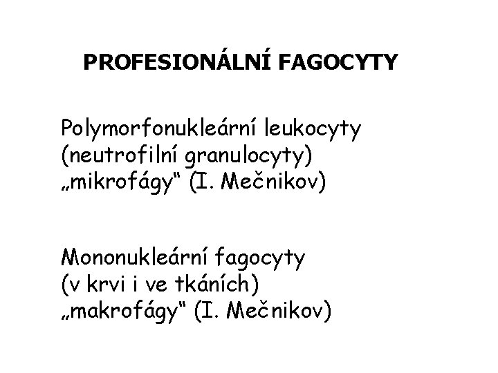 PROFESIONÁLNÍ FAGOCYTY Polymorfonukleární leukocyty (neutrofilní granulocyty) „mikrofágy“ (I. Mečnikov) Mononukleární fagocyty (v krvi i