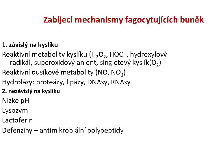 Zabíjecí mechanismy fagocytujících buněk 1. závislý na kyslíku Reaktivní metabolity kyslíku (H 2 O