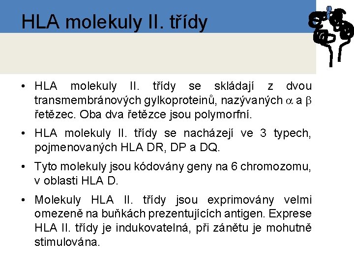 HLA molekuly II. třídy • HLA molekuly II. třídy se skládají z dvou transmembránových