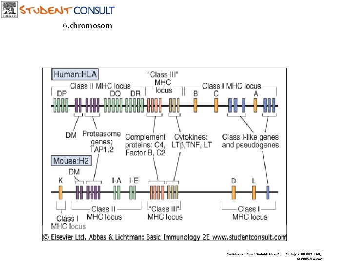 6. chromosom Downloaded from: Student. Consult (on 18 July 2006 08: 13 AM) ©