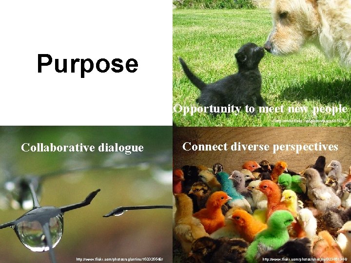 Purpose Opportunity to meet new people http: //www. flickr. com/photos/fazen/9079179/ Collaborative dialogue http: //www.