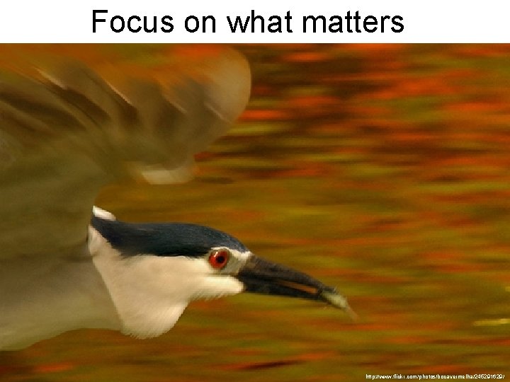 Focus on what matters http: //www. flickr. com/photos/bocavermelha/245291629/ 