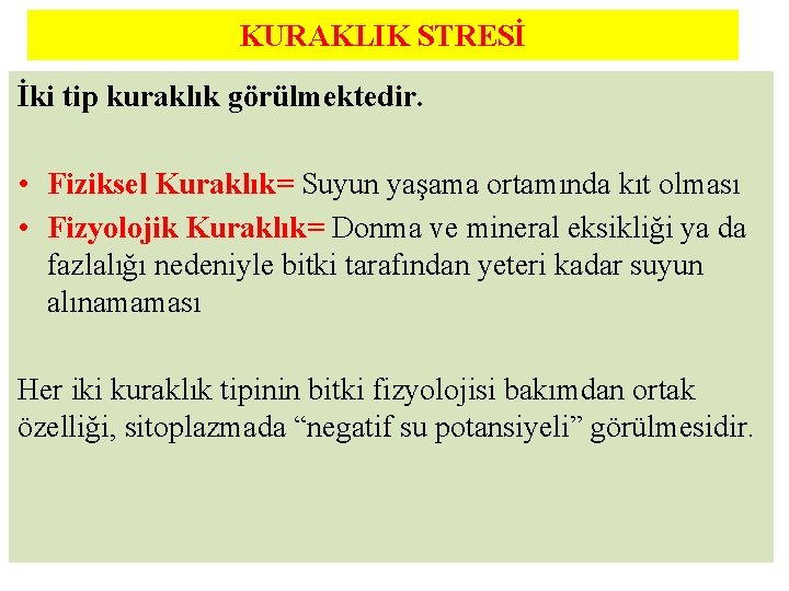 KURAKLIK STRESİ İki tip kuraklık görülmektedir. • Fiziksel Kuraklık= Suyun yaşama ortamında kıt olması