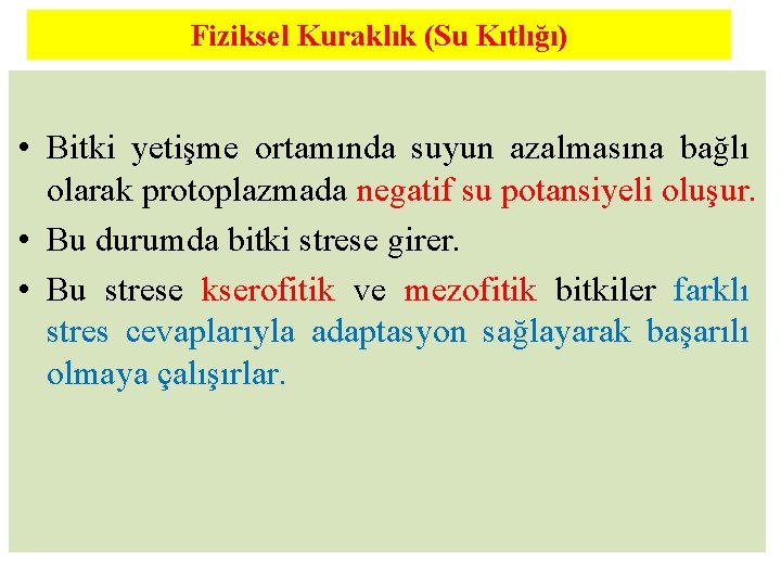 Fiziksel Kuraklık (Su Kıtlığı) • Bitki yetişme ortamında suyun azalmasına bağlı olarak protoplazmada negatif