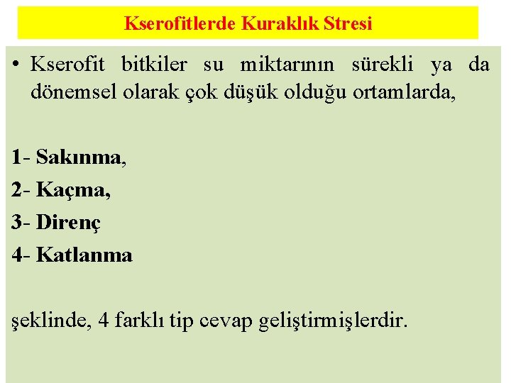 Kserofitlerde Kuraklık Stresi • Kserofit bitkiler su miktarının sürekli ya da dönemsel olarak çok