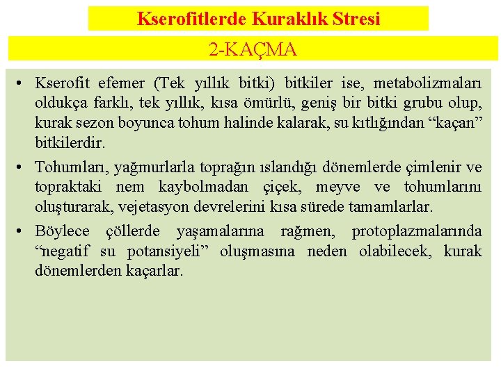 Kserofitlerde Kuraklık Stresi 2 -KAÇMA • Kserofit efemer (Tek yıllık bitki) bitkiler ise, metabolizmaları