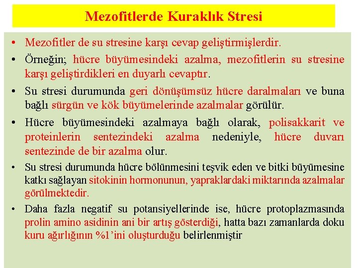 Mezofitlerde Kuraklık Stresi • Mezofitler de su stresine karşı cevap geliştirmişlerdir. • Örneğin; hücre