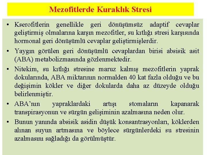 Mezofitlerde Kuraklık Stresi • Kserofitlerin genellikle geri dönüşümsüz adaptif cevaplar geliştirmiş olmalarına karşın mezofitler,