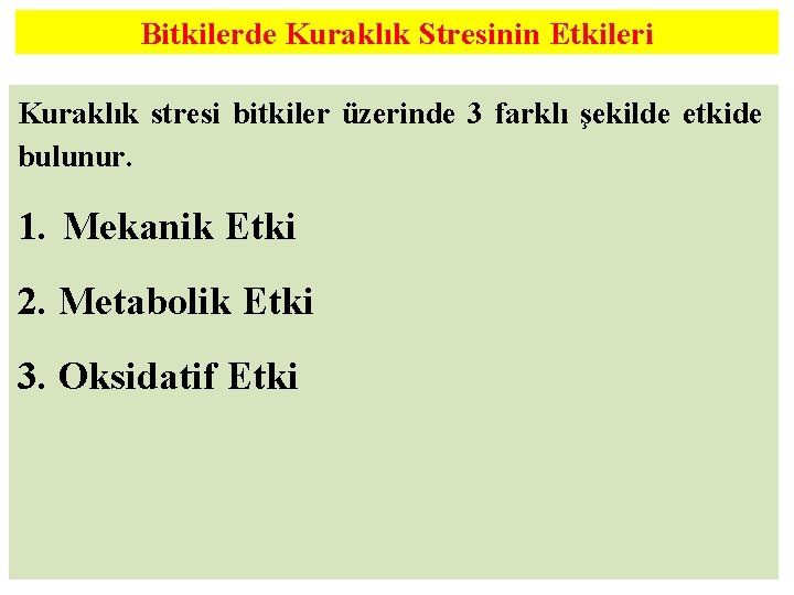 Bitkilerde Kuraklık Stresinin Etkileri Kuraklık stresi bitkiler üzerinde 3 farklı şekilde etkide bulunur. 1.