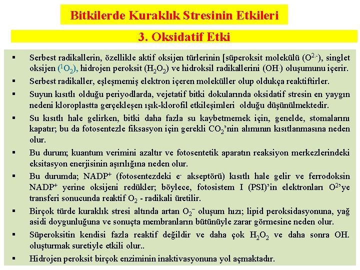 Bitkilerde Kuraklık Stresinin Etkileri 3. Oksidatif Etki § § § § § Serbest radikallerin,