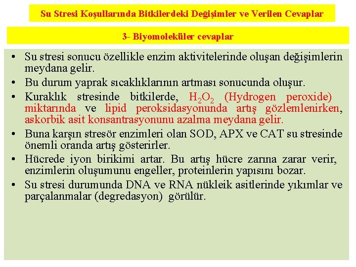 Su Stresi Koşullarında Bitkilerdeki Değişimler ve Verilen Cevaplar 3 - Biyomoleküler cevaplar • Su