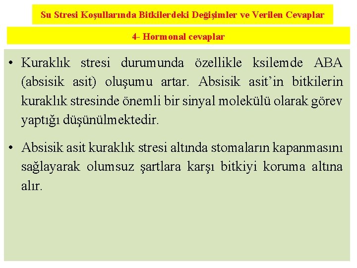 Su Stresi Koşullarında Bitkilerdeki Değişimler ve Verilen Cevaplar 4 - Hormonal cevaplar • Kuraklık