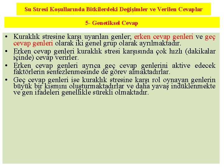 Su Stresi Koşullarında Bitkilerdeki Değişimler ve Verilen Cevaplar 5 - Genetiksel Cevap • Kuraklık