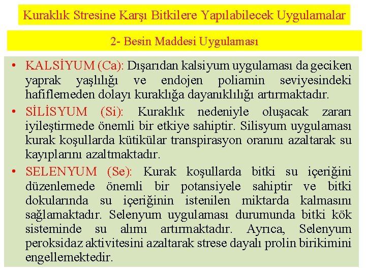 Kuraklık Stresine Karşı Bitkilere Yapılabilecek Uygulamalar 2 - Besin Maddesi Uygulaması • KALSİYUM (Ca):