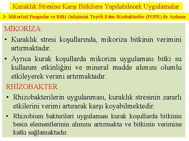 Kuraklık Stresine Karşı Bitkilere Yapılabilecek Uygulamalar 3 - Mikorizal Funguslar ve Bitki Gelişimini Teşvik